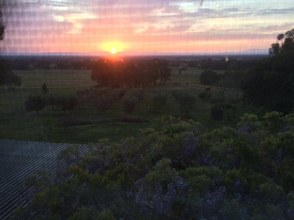 Warby Cottage Wangaratta Rum bild